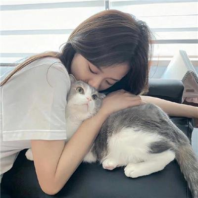 追爱家族